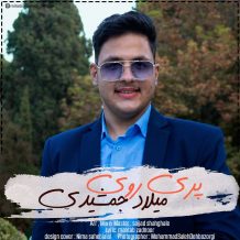 دانلود آهنگ جدید میلاد جمشیدی به نام پری روی